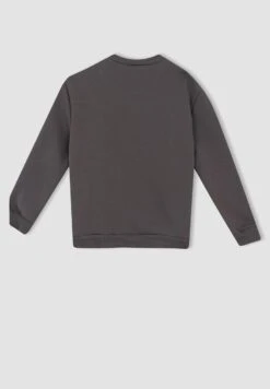 DeFacto Disney Princess Regular Fit - Sudadera - Grey -Ropa Ventas 152e2c60289c46918584f6174d8990a3