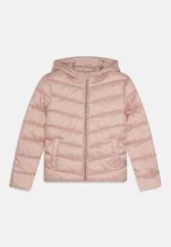 Kogtanea Quilted Hood - Chaqueta De Entretiempo - Rose Smoke