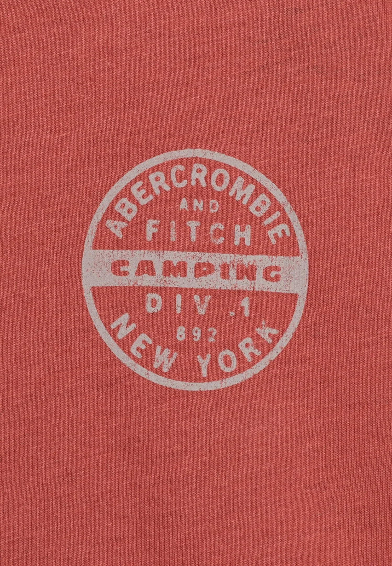 Abercrombie & Fitch Logo - Camiseta Estampada - Dusty Cedar 3 Abercrombie & Fitch Logo - Camiseta Estampada - Dusty Cedar - Imagen 3