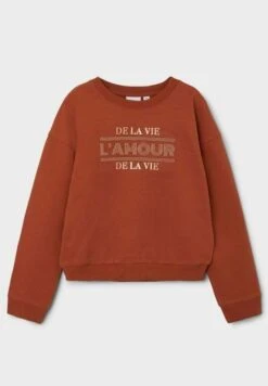 NAME IT Regular Fit - Sudadera - Arabian Spice -Ropa Ventas 69e5a2ed2c9c44cb80a62fb607e1c9dc