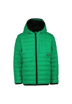 Raizzed Teldon - Chaqueta De Invierno - Grass Green -Ropa Ventas 6e24e610e8704edba4e7327f84311b1d