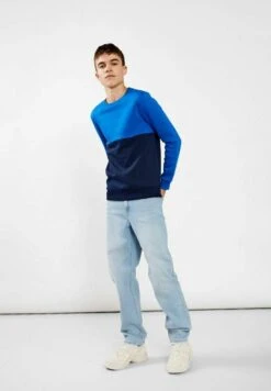 Regular Fit - Sudadera - Bellwether Blue