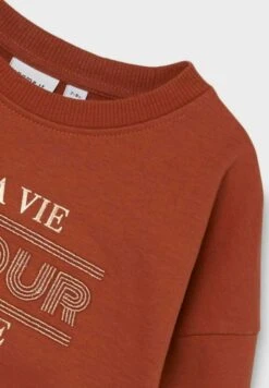 NAME IT Regular Fit - Sudadera - Arabian Spice -Ropa Ventas 94f4ad6c19d8480e8977b891c669f893