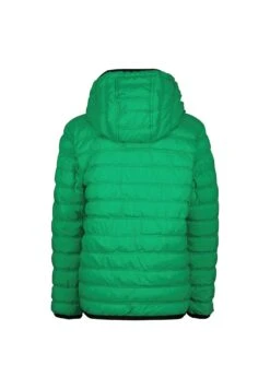 Raizzed Teldon - Chaqueta De Invierno - Grass Green -Ropa Ventas c45aa36e31e24f8ab557f6243f1a4c1f
